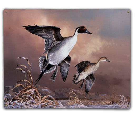 Pintail Landing Art Rendering - Prints54.com