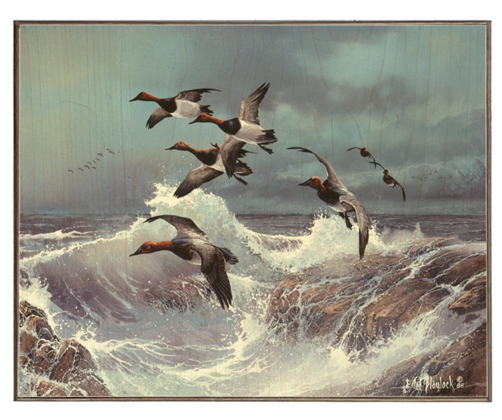 Rocky Point Canvas Backs Art Rendering - Prints54.com