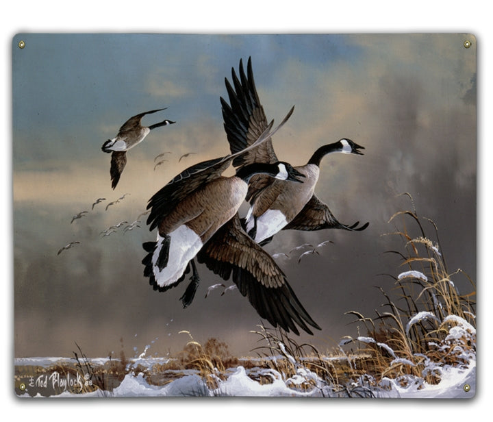 Startled Honkers Art Rendering - Prints54.com