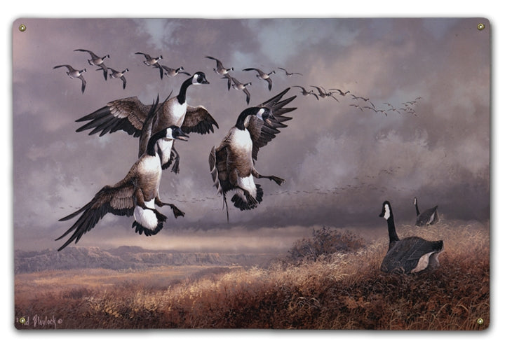 Surprised Honkers Art Rendering - Prints54.com