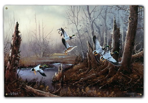 Swamp Mallards Art Rendering - Prints54.com