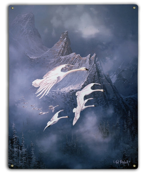 Trumpeter Swans Art Rendering - Prints54.com